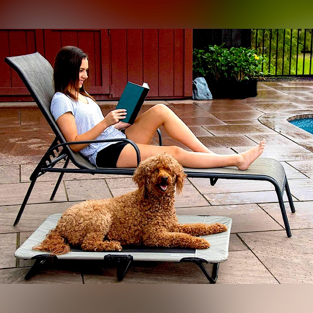 Pet Gear Dog Raised Cot bone shaped tan brown colors lounger pets outdoor indoor